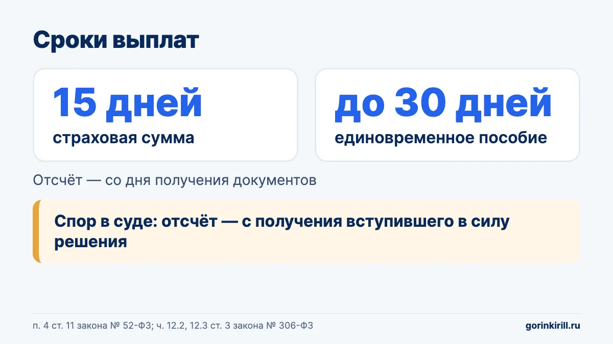 Сроки выплат за погибшего на СВО: 15 дней, до 30 дней и отсчёт с решения суда при споре о лишении родителя выплат