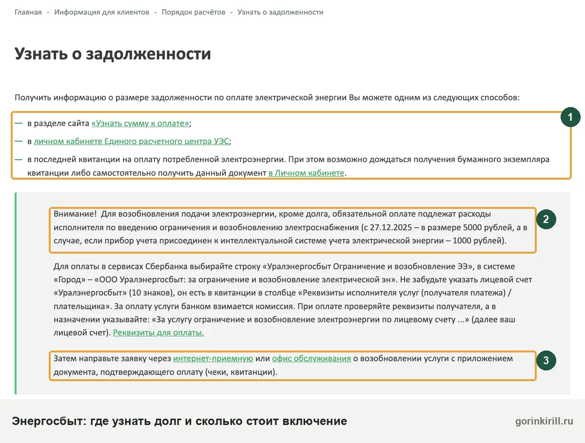 Как проверить долг за электроэнергию на сайте энергосбыта и сколько стоит включение света