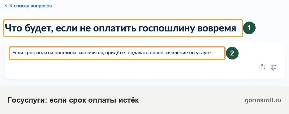 Госуслуги: что будет, если не оплатить госпошлину вовремя — придётся подавать новое заявление