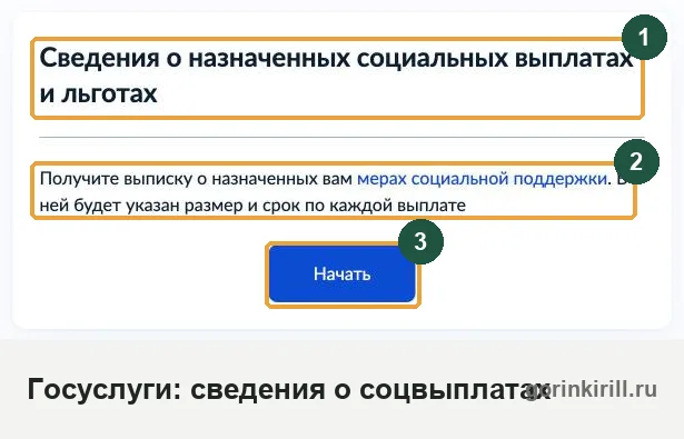 Блокируют ли приставы детские карты: выписка о назначенных социальных выплатах на Госуслугах