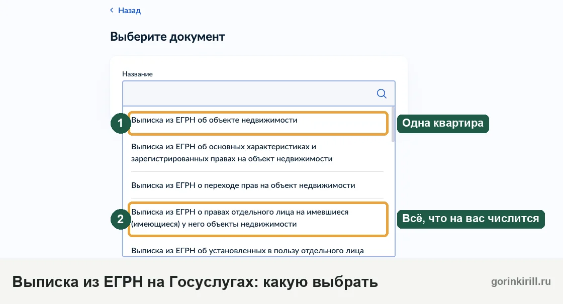 Какую выписку из ЕГРН заказать на Госуслугах, чтобы подтвердить единственное жильё