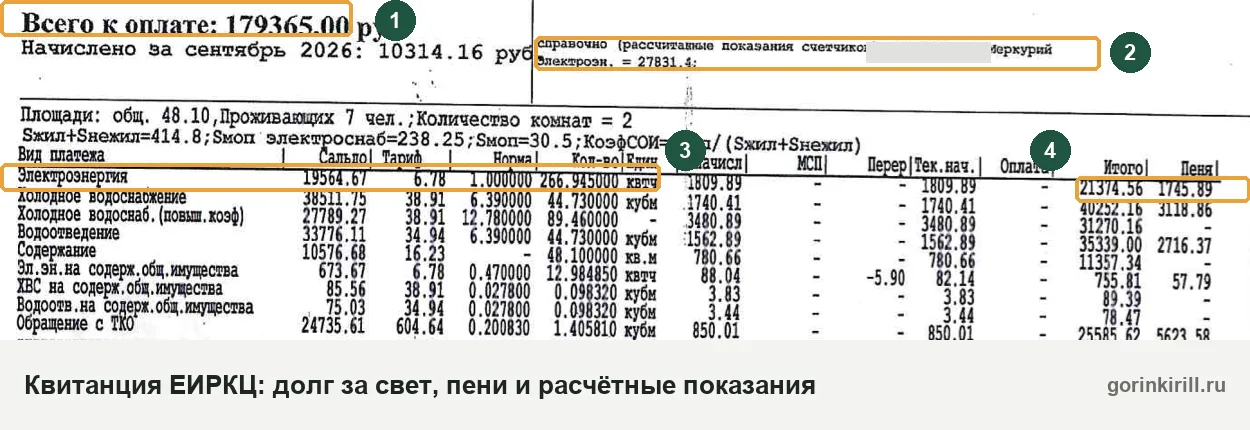Квитанция ЕИРКЦ с долгом за электроэнергию, пенями и расчётными показаниями счётчика