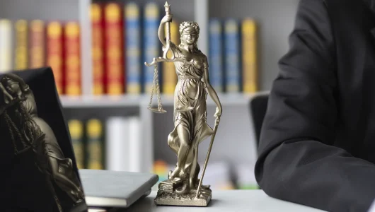 Участие прокурора в делах о банкротстве
