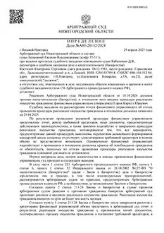 Дело №А43-20132/2024 — списано 399 139,35₽ в городе Нижегородская область